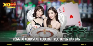 Rồng Hổ XO88