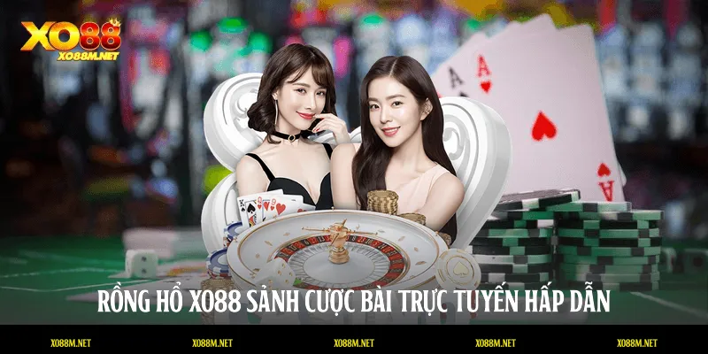 Rồng Hổ XO88
